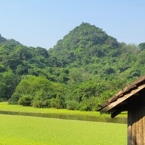 Snippet: Kaffee und schmutzige Wäsche in Tam Coc