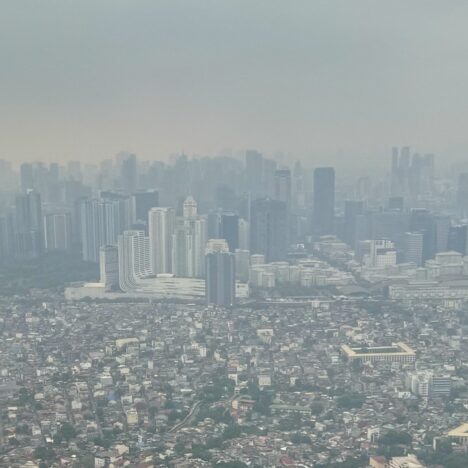 Cebu City and Moalboal
