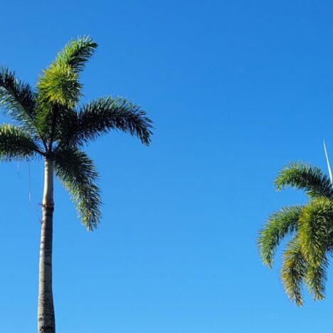 Selamat tinggal, Bali – G’day, Australia!