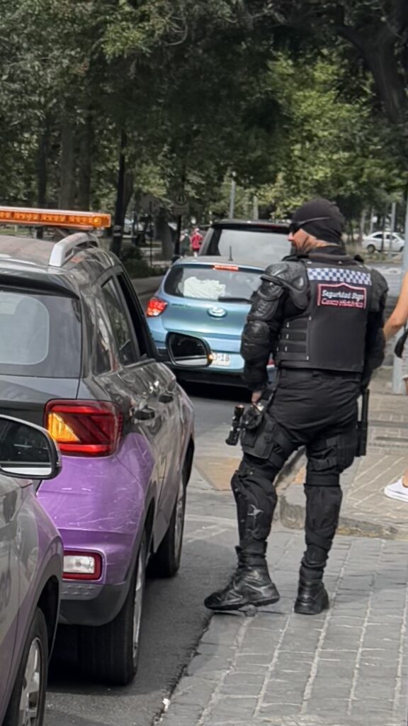 private security santiago