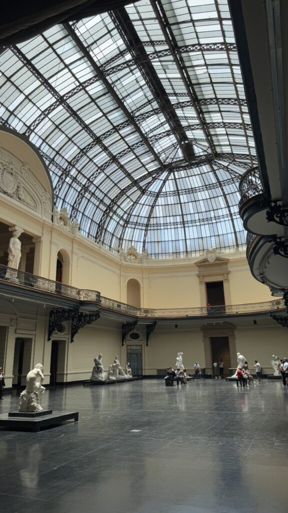 museo bellas artes
