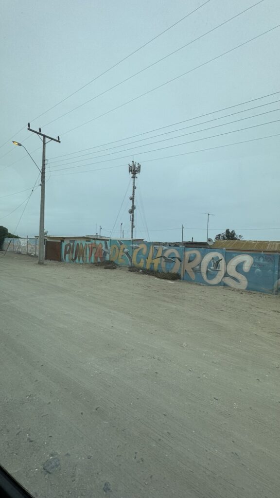 punta los choros