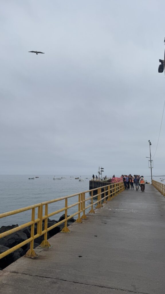 hafen punta los choros
