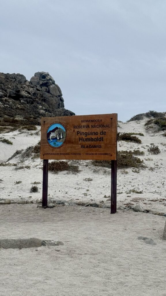 isla damas