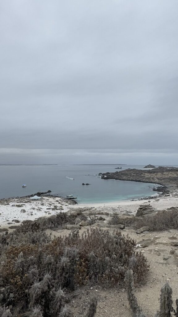 isla damas