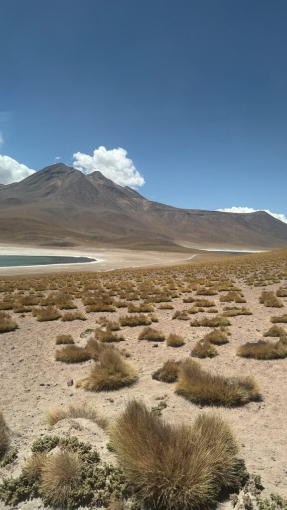 lagune