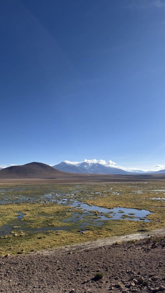 wetlands atacama