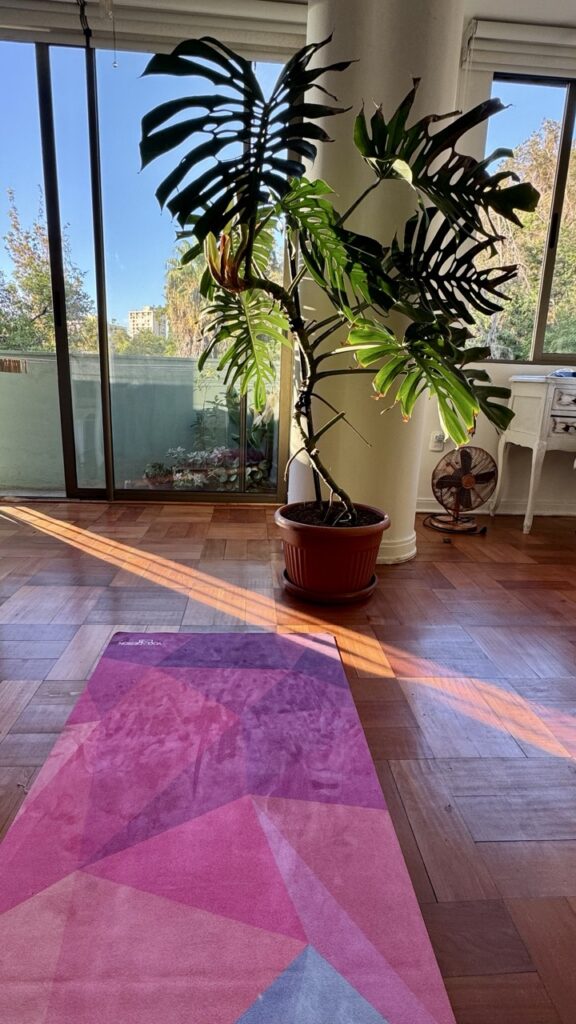 airbnb santiago