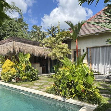 Ubud Life: Schrebergarten-Mentalität, Rainy Season & Visa-Rollercoaster